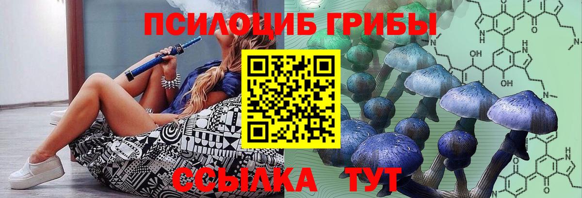Галлюциногенные грибы GOLDEN TEACHER  Галлюциногенные грибы Psilocybine cubensis  Вход с VPN  Острогожск 