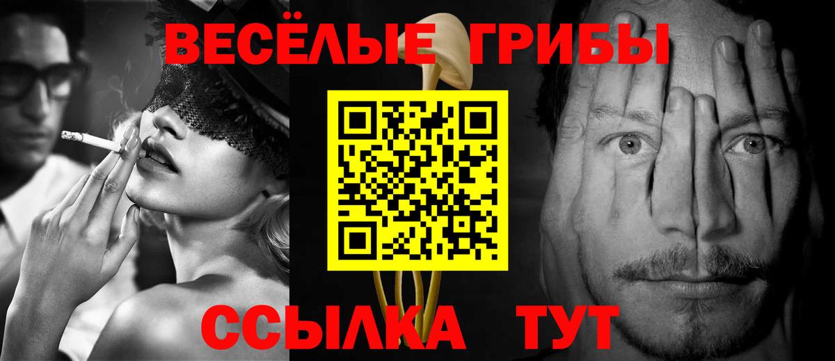 Псилоцибиновые грибы Psilocybine cubensis Острогожск